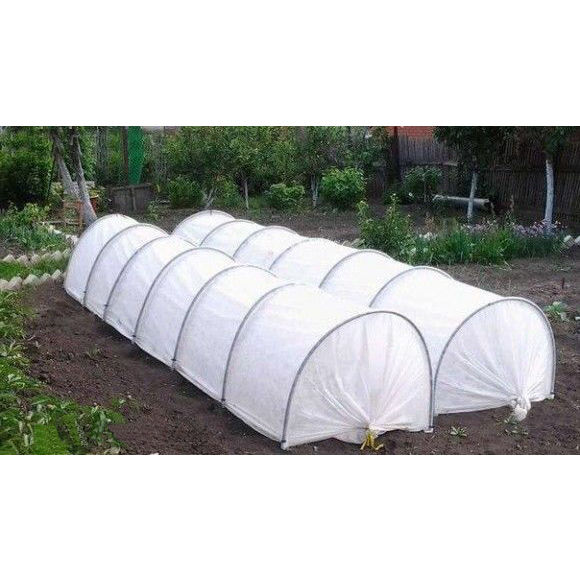 ������ ������� ������� 6,5�